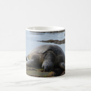 Caneca De Café Tartaruga que descansa nas rochas