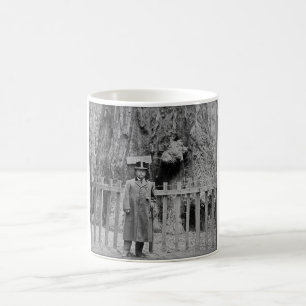 Caneca De Café Teddy Roosevelt no bosque grande Santa Cruz da