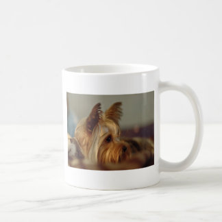 Caneca De Café Terrier de Yorkshire