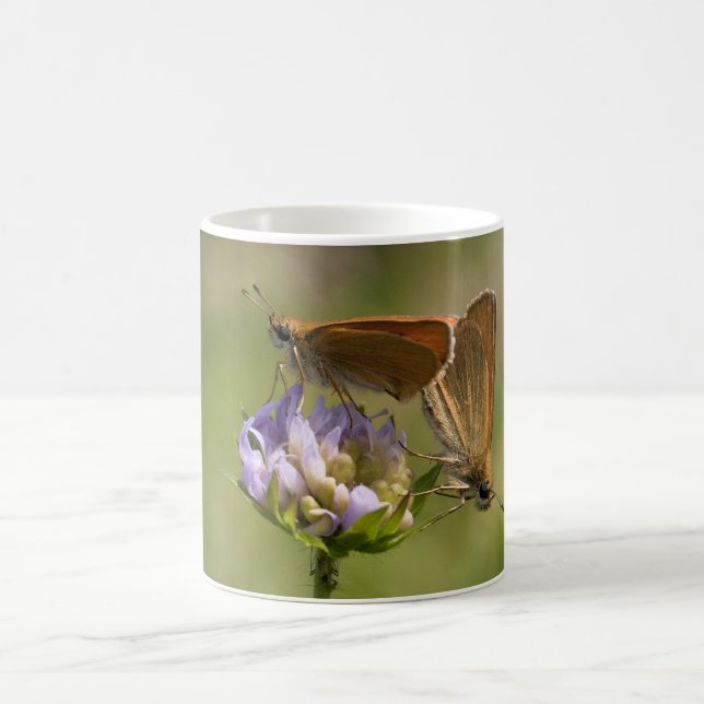 Caneca De Café Thymelicus lineola (Centro)