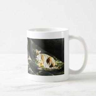 Caneca De Café Tiger Catnap