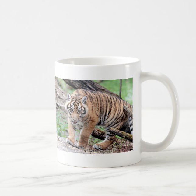 Caneca De Café Tigre de fotos, gato. (Direita)