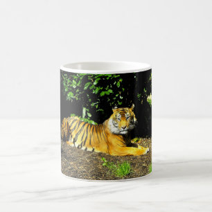 Caneca De Café Tigre de Sumatrão