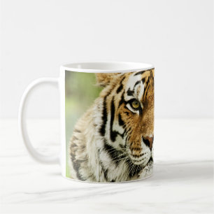 Caneca De Café Tigre Siberiano Raro: Descanso Ameaçado