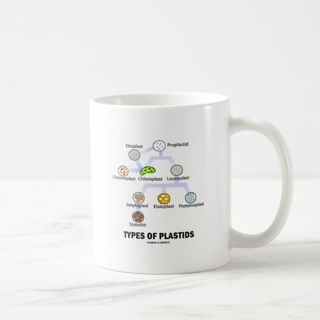 Caneca De Café Tipos de Plastids (Direita)