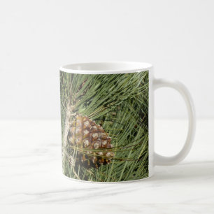 Caneca De Café Torrey Pine Closeup California Botanical