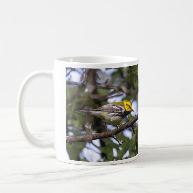 Caneca De Café toutinegra verde Preto-throated (Esquerda)