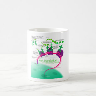 Caneca De Café Tradução do RNA no diagrama da síntese da proteína