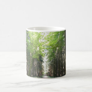 Caneca De Café Trajeto através da floresta