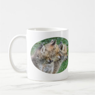 Caneca De Café Três Kits Fox