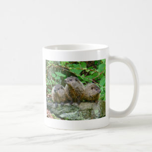 Caneca De Café Três Pequenos Marmotas