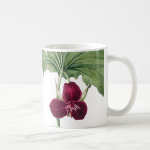 Caneca De Café Trillium Botânico