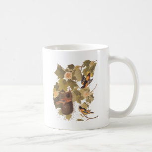Caneca De Café Trio de Baltimore Oriole de Audubon