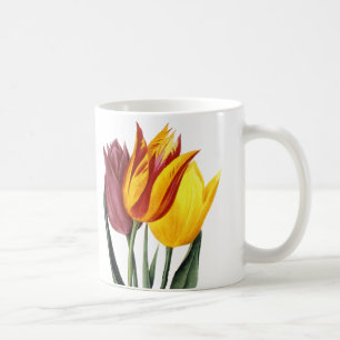 Caneca De Café Tulipa (Tulipa Gesneriana)