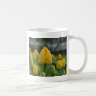 Caneca De Café Tulipas amarelas no campo