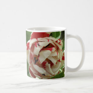 Caneca De Café Tulipas brancas e rosa