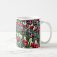 Tulipas coloridas do primavera