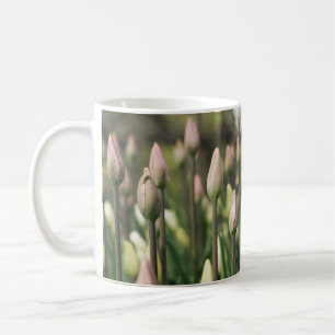 Caneca De Café Tulipas começando a florir