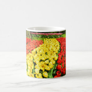 Caneca De Café Tulipas no sol na Holanda