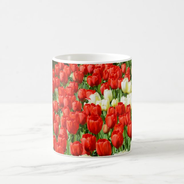 Caneca De Café Tulipas vermelhas e brancas (Centro)