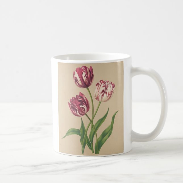 Caneca De Café Tulips botânica (Direita)
