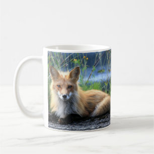 Caneca De Café Tumg de Descolagem de Raposa Vermelha