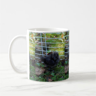 Caneca De Café Um bebê Silkie