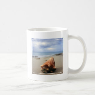 Caneca De Café Um Conch Shell no St. Croix da praia , Usvi