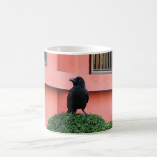 Caneca De Café Um Corvo-Selvagem Grande Uma Perca Numa Árvore De