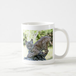 Caneca De Café Um gatinho canadense brincalhão do lince
