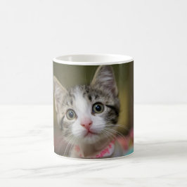 Caneca De Café Um gatinho fofo com olhos verdes