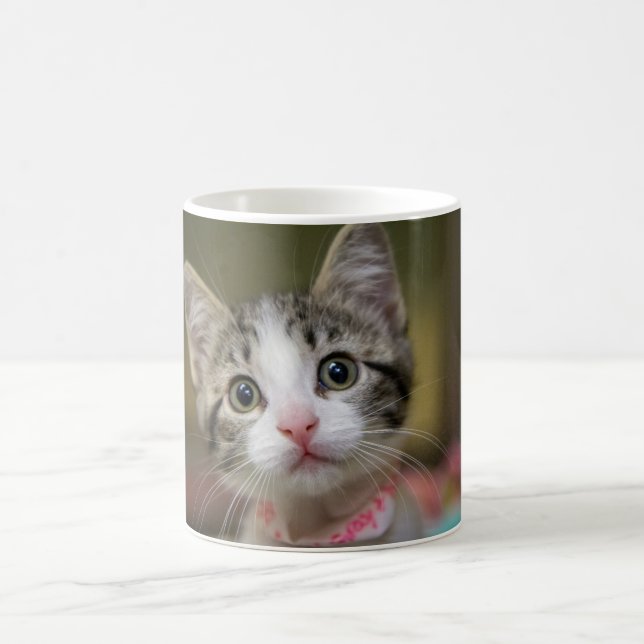 Caneca De Café Um gatinho fofo com olhos verdes (Centro)