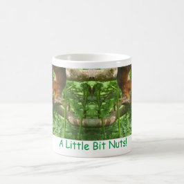 Caneca De Café "Um Pouco De Loucos", Esquilos Vermelhos De Cabeça