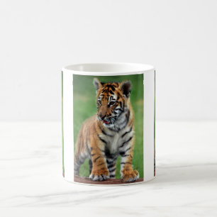 Caneca De Café Um tigre de bebê bonito