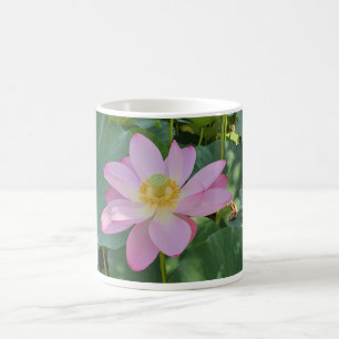 Caneca De Café Uma flor de lótus vibrante