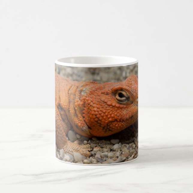 Caneca De Café Uromastyx geyri (Centro)
