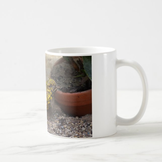 Caneca De Café Uromastyx geyri (Direita)