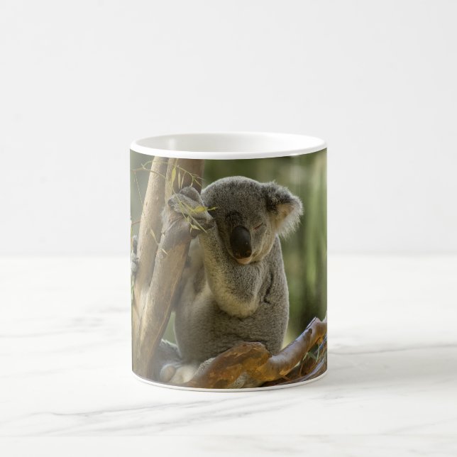 Caneca De Café Urso de Koala sonolento (Centro)