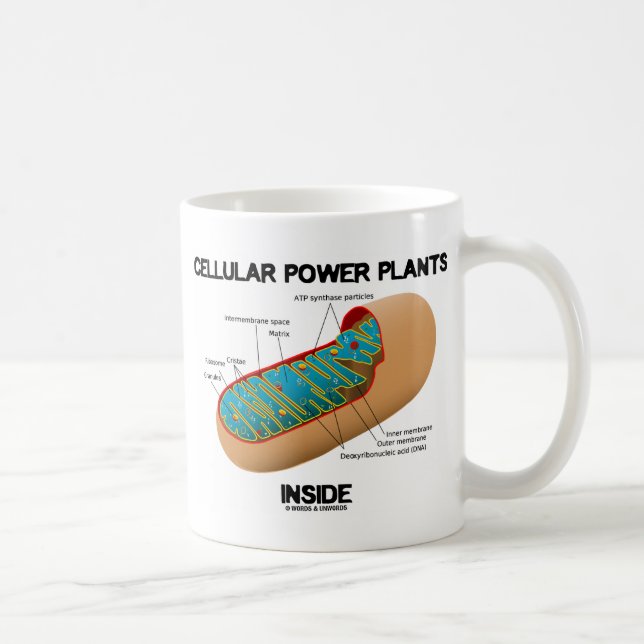 Caneca De Café Usinas de Energia Celular Internas (Mitocôndria) (Direita)