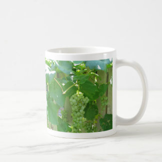 Caneca De Café Uvas sem sementes brancas doces e suculentas
