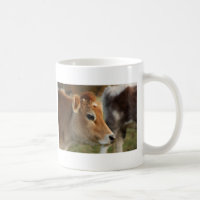 Vaca do jérsei