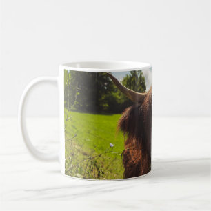 Caneca De Café Vaca preta das Terras Altas pastando em campo verd