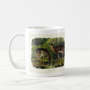 Caneca De Café Veado comum (branco) - Quadrupedes de Audubon