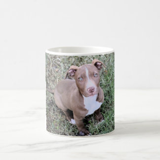 Caneca de café vermelha de Pitbull do nariz