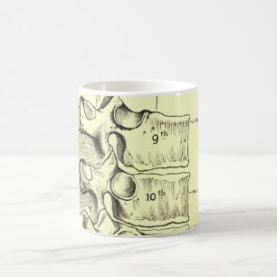Caneca De Café Vértebras da anatomia do vintage