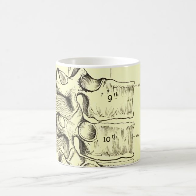 Caneca De Café Vértebras da anatomia | do vintage (Centro)