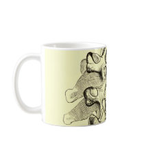 Vértebras da anatomia | do vintage