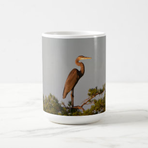Caneca De Café Vida Selvagem de Aves Fotografia Excelente Azul He