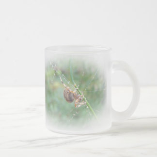 Caneca De Café Vidro Jateado Araneus - Orb Weaver Spider