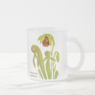 Caneca De Café Vidro Jateado Californica do Darlingtonia, planta carnívora